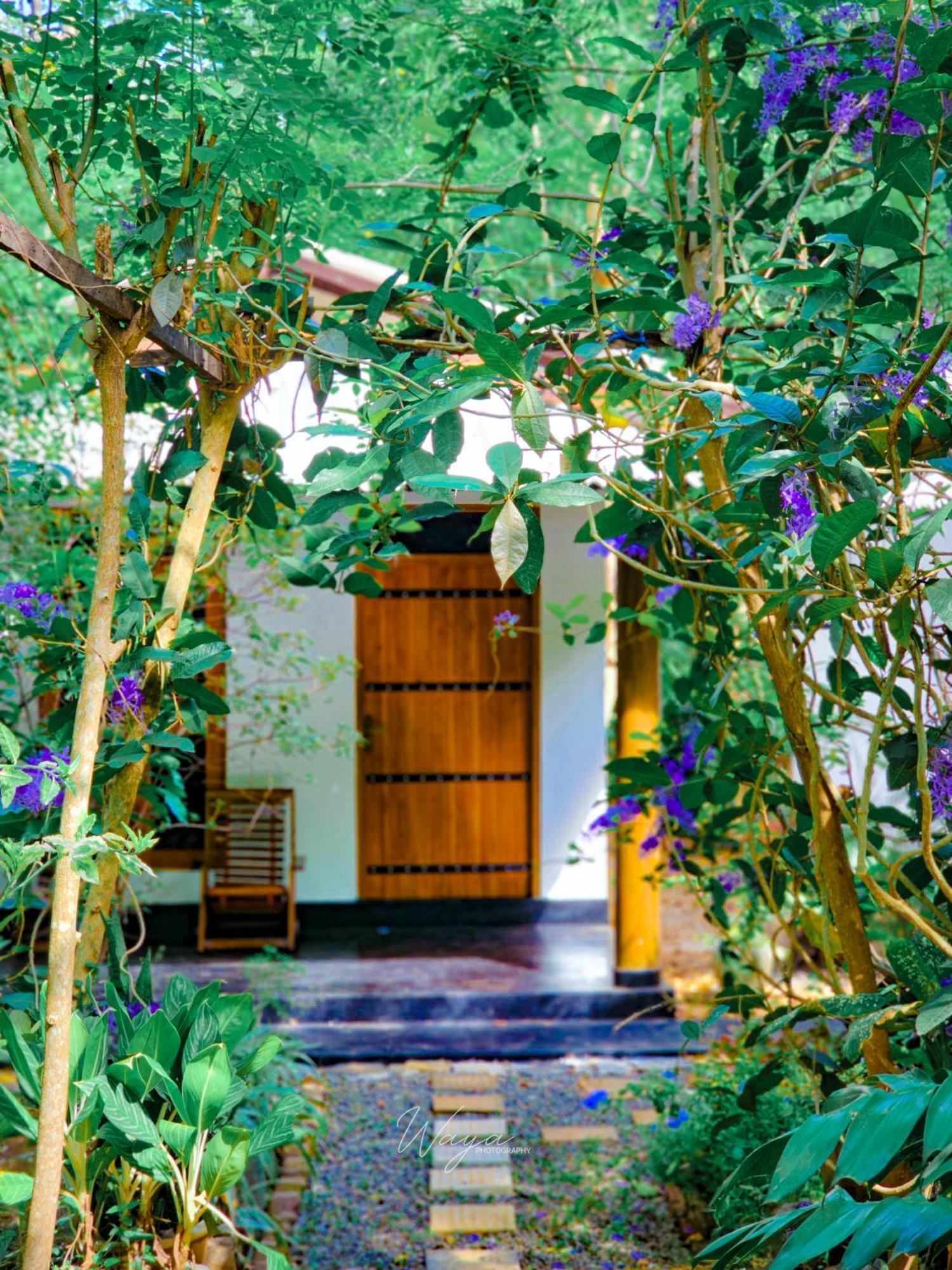 Bright Sun Safari Hotel Удавалаве Екстериор снимка